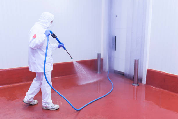 Trusted White Mountain Lake, AZ  Pressure Washing Services Experts